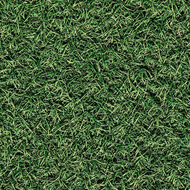 Grass (conductive surface)