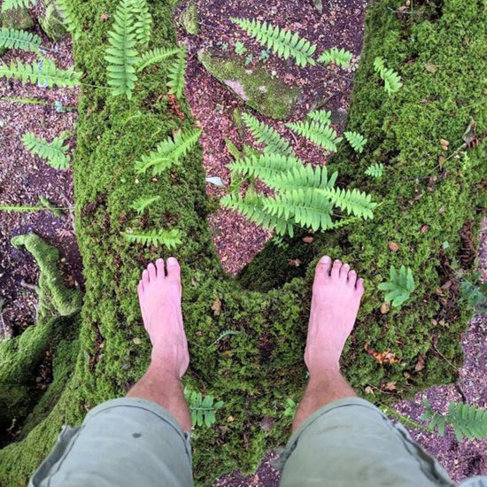 Barefoot walking on a mossy forest floor with ferns