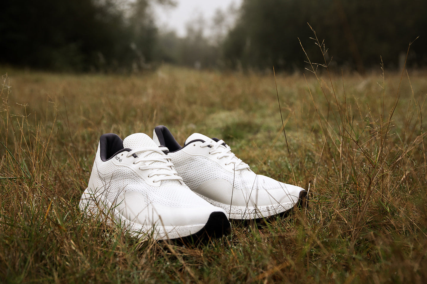 A different kind of running shoe