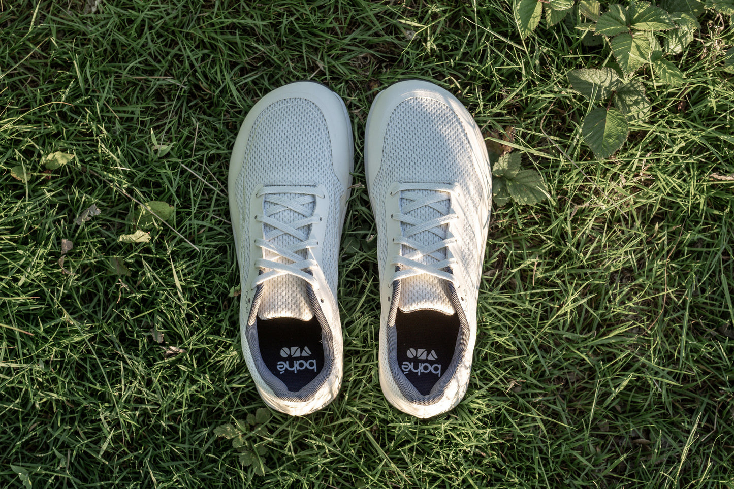 Men's Revive Sneaker