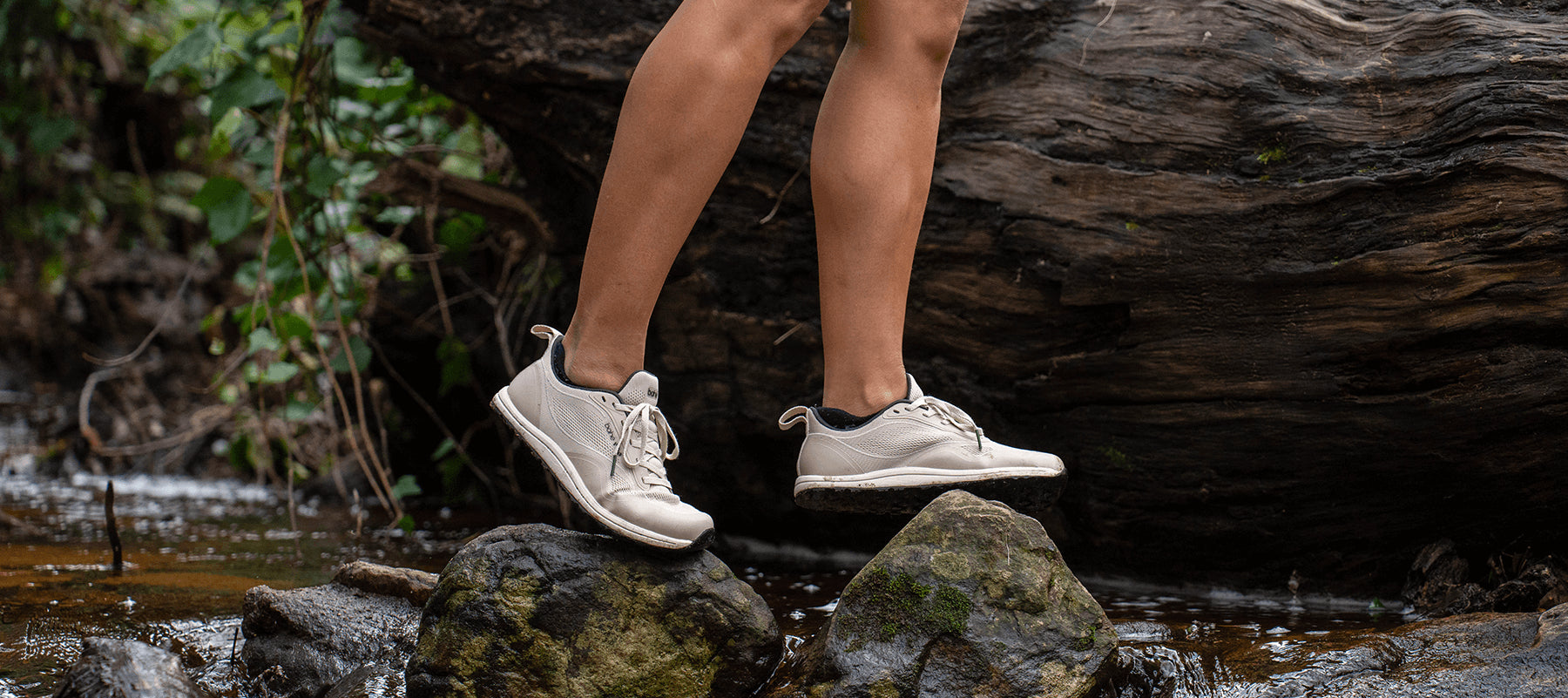 Image-66884316660096