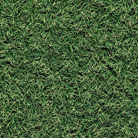 Grass (conductive surface)