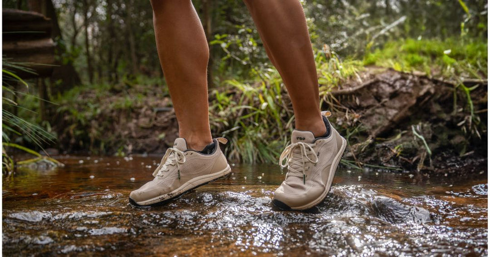 Why Zero-drop Hurts Calves (+ What To Do)