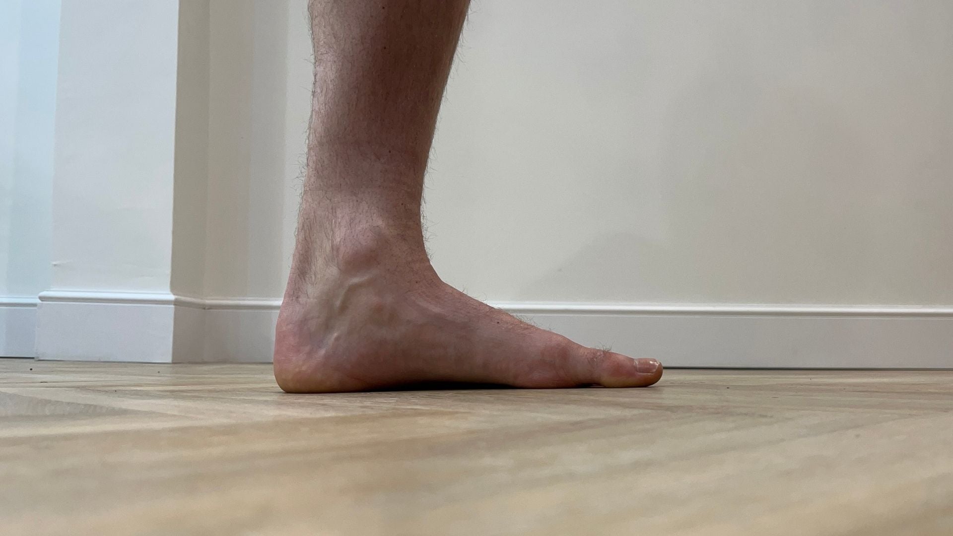68205448036736